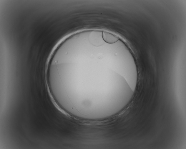 X0000084541519200703231703