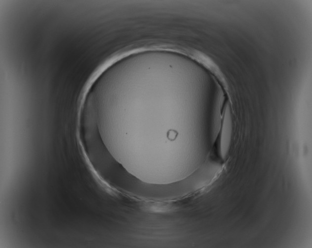 X0000084541520200703231703