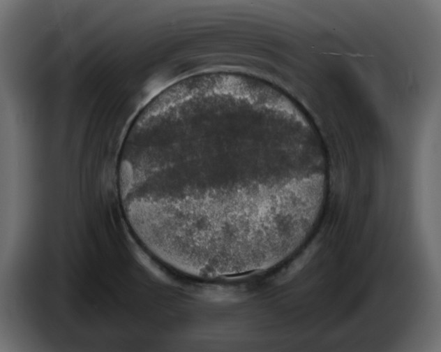 X0000084541521200703231703