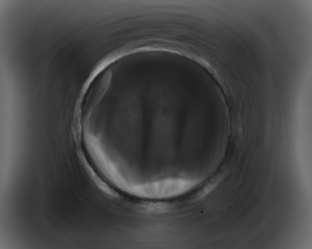 X0000084541522200703231703