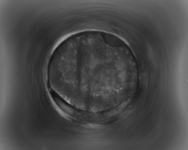 X0000084541523200703231703