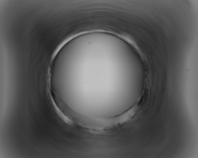 X0000084541524200703231703