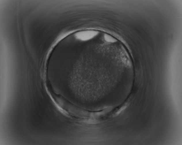 X0000084541525200703231703