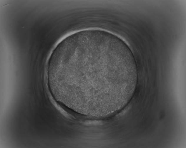 X0000084541526200703231703