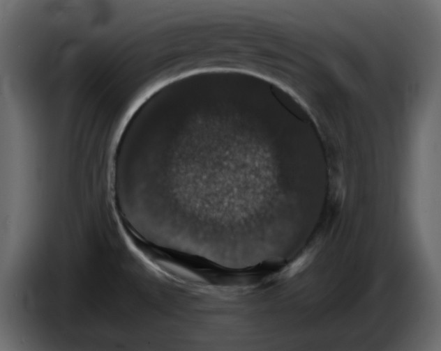 X0000084541527200703231703