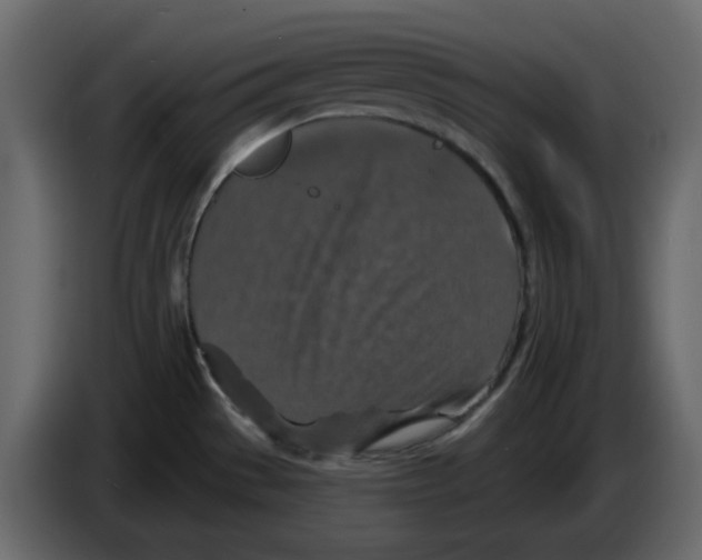 X0000084541529200703231703