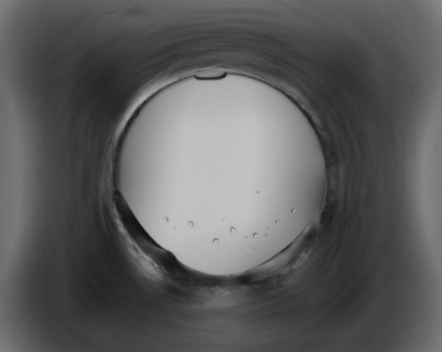 X0000084541530200703231703