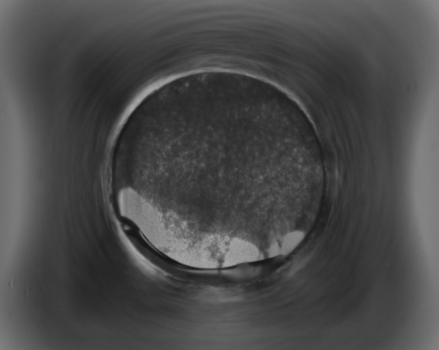 X0000084541531200703231703