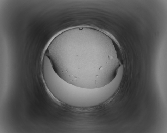 X0000084541532200703231703