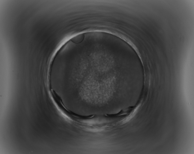 X0000084541533200703231703