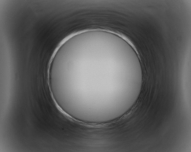 X0000084541535200703231703