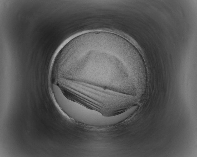 X0000084541536200703231703