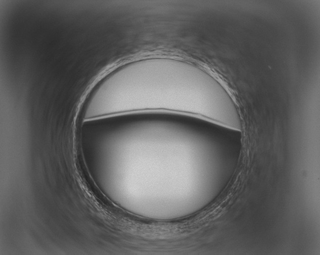 X0000084550008200702230947