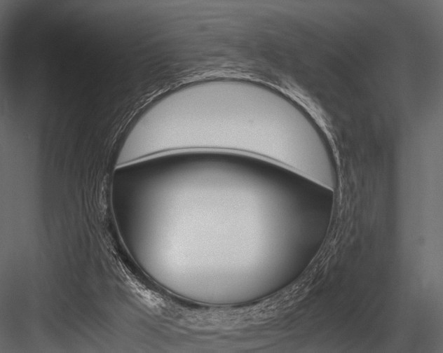 X0000084550009200702230947