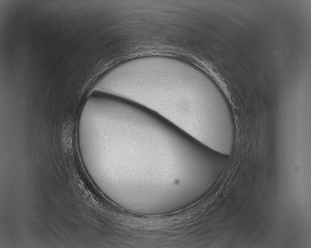 X0000084550010200702230947