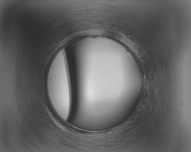 X0000084550013200702230947
