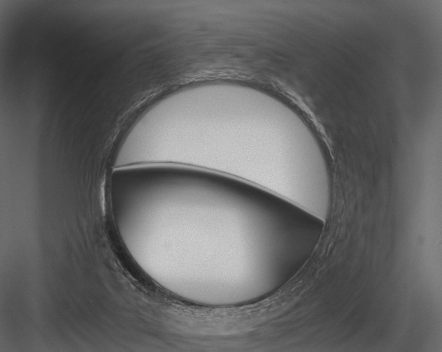 X0000084550019200702230947