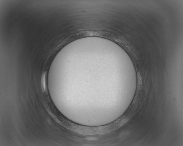 X0000084550028200702230947
