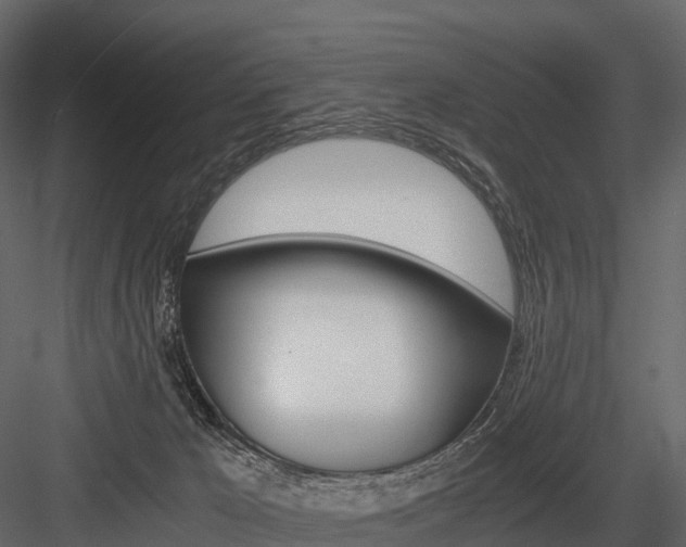 X0000084550029200702230947