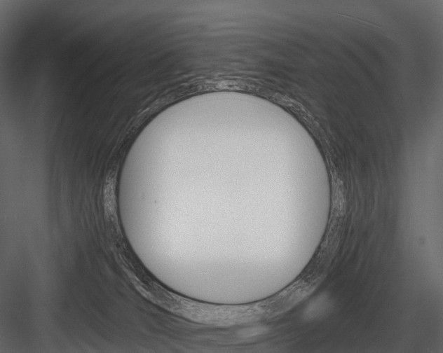 X0000084550036200702230947