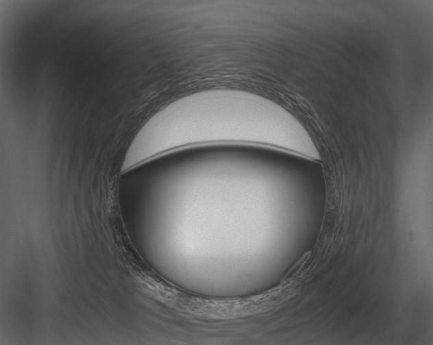 X0000084550037200702230947