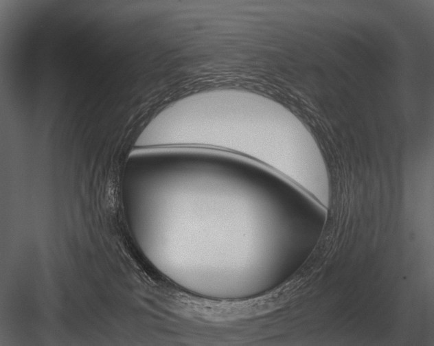 X0000084550039200702230947