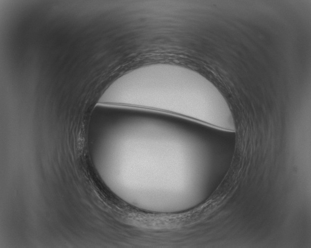 X0000084550040200702230947