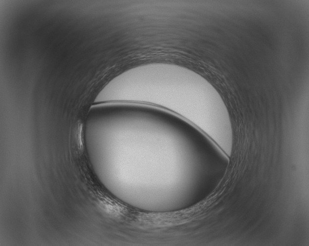 X0000084550041200702230947