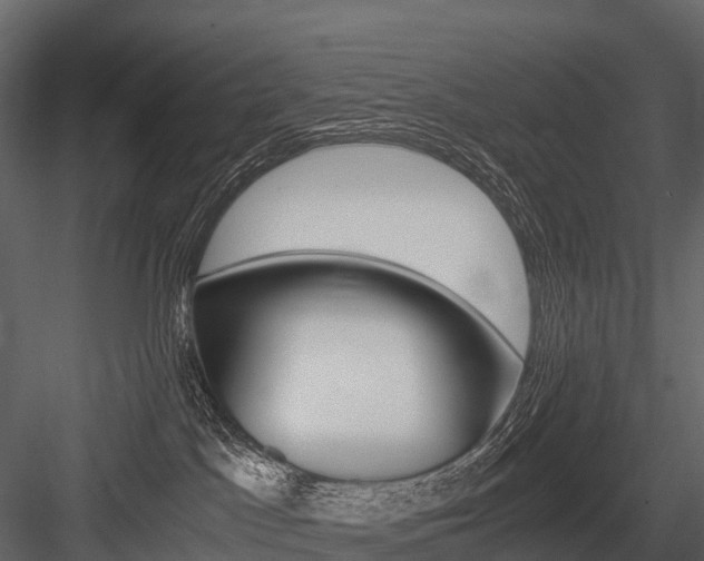 X0000084550045200702230946