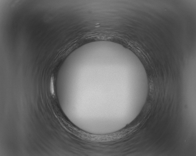 X0000084550046200702230946