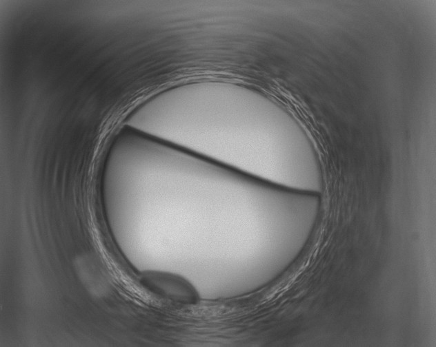 X0000084550049200702230946