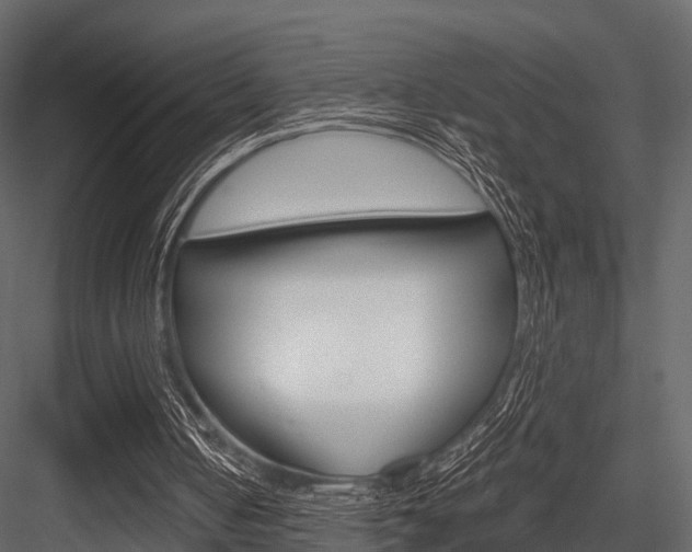 X0000084550050200702230946