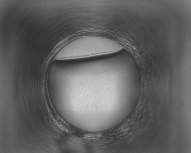 X0000084550051200702230946