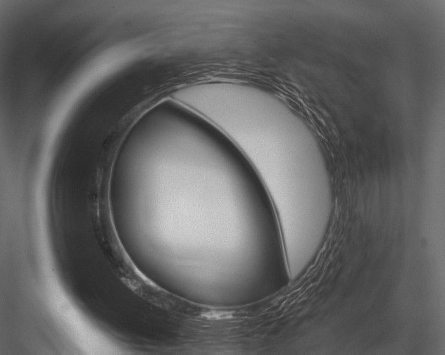 X0000084550052200702230946