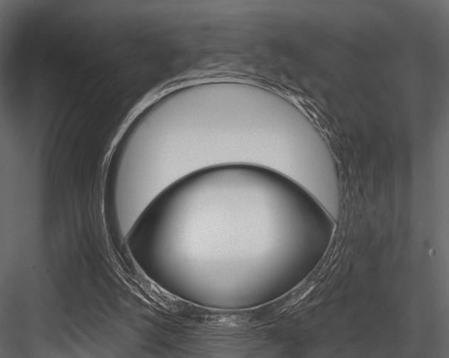 X0000084550056200702230946