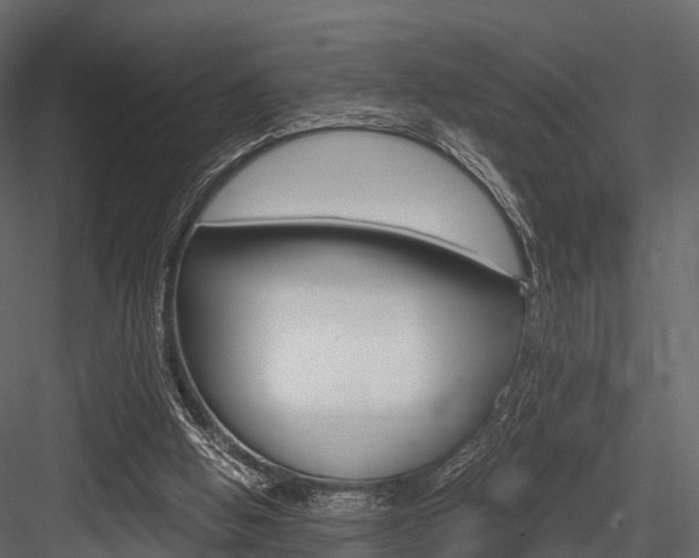X0000084550058200702230946