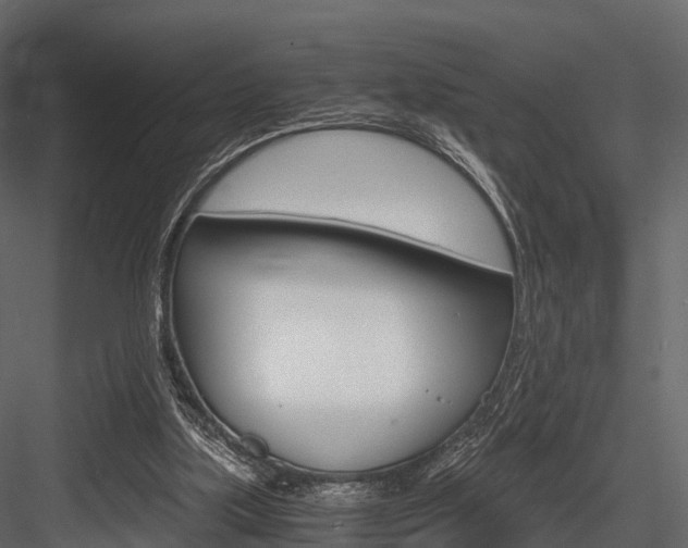 X0000084550059200702230946