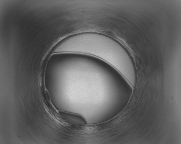 X0000084550060200702230946
