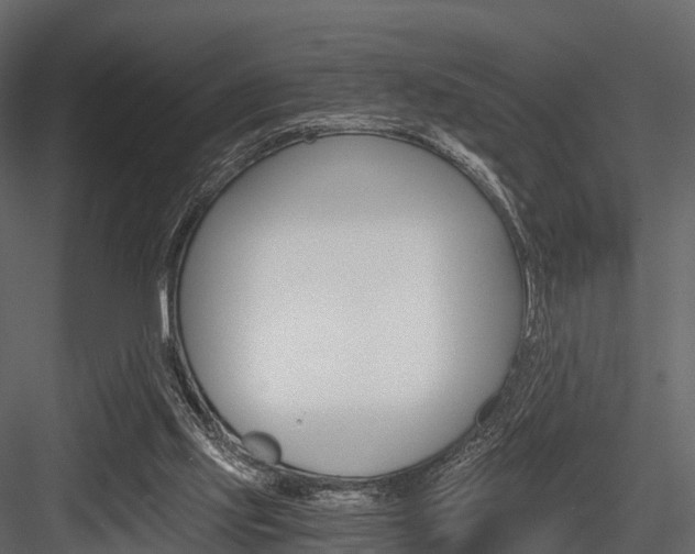 X0000084550061200702230946