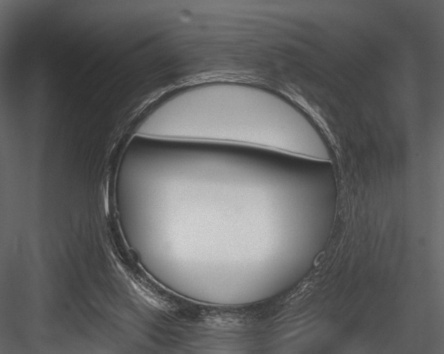 X0000084550062200702230946