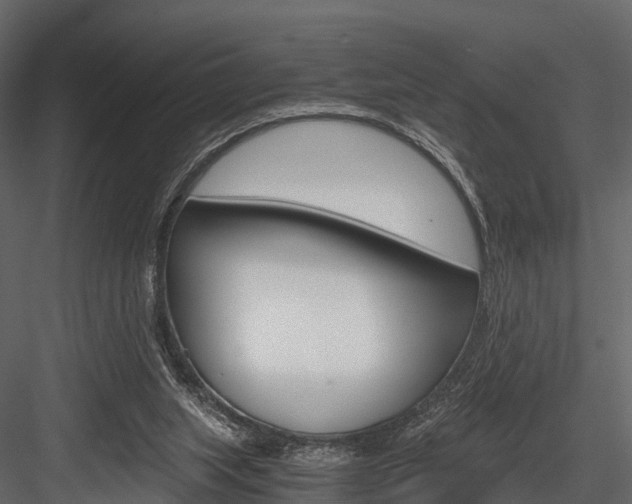 X0000084550063200702230946
