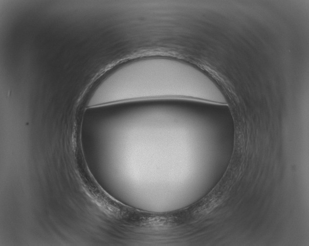 X0000084550064200702230946