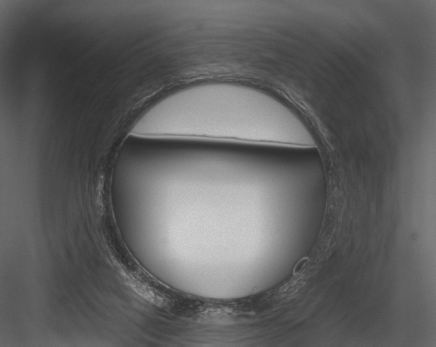 X0000084550066200702230946