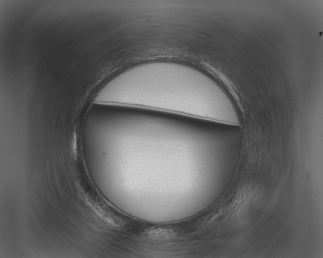 X0000084550067200702230946