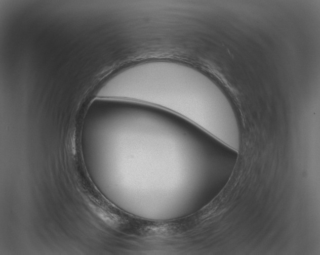 X0000084550068200702230946