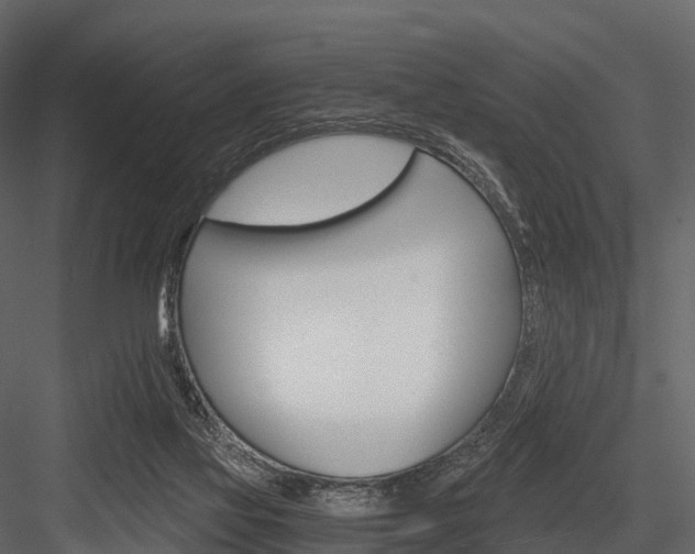 X0000084550069200702230946