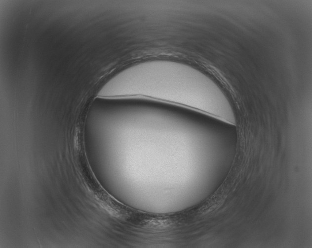 X0000084550071200702230946
