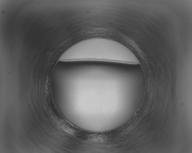 X0000084550073200702230946
