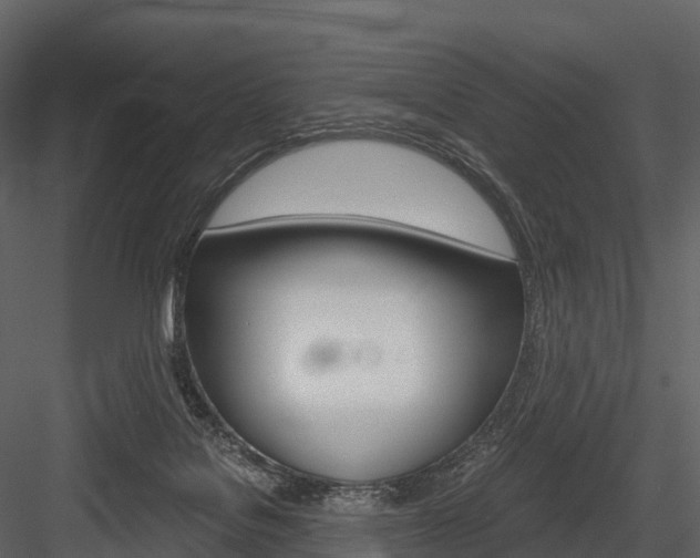 X0000084550076200702230946