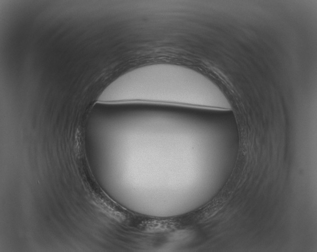 X0000084550077200702230946